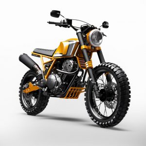 Custom Off-Road Motorcycle - The Maverick X